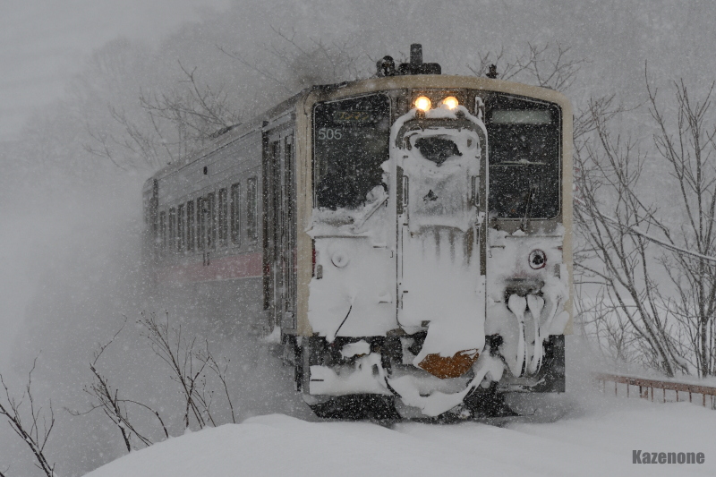 4925D ʗ