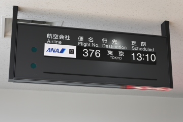 \L͂[[[ƌŒcca(^-^;