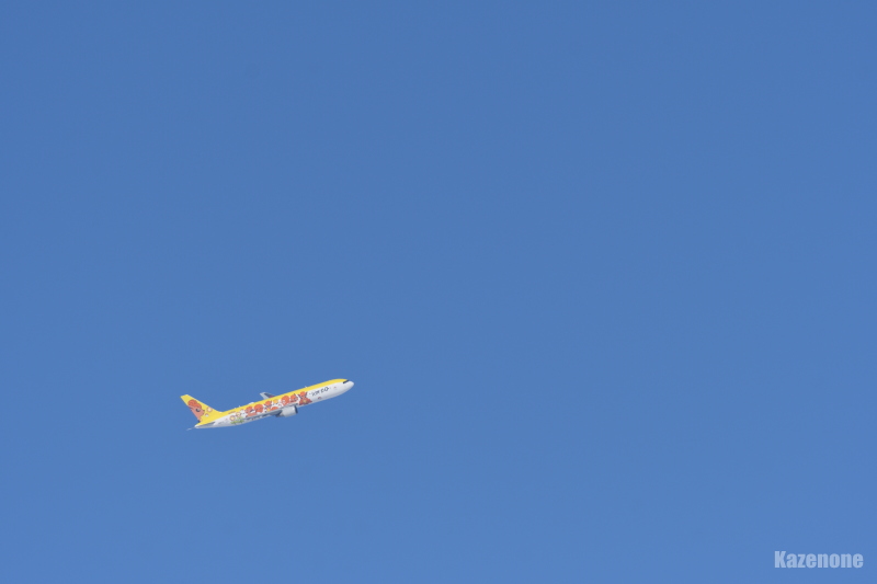 AIRDO83hRWFbghBoeing 767-300 JA607A