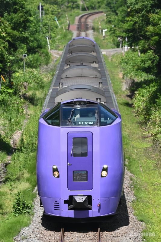 7041D 特急フラノラベンダーエクスプレス
