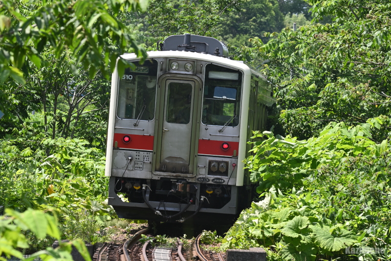 4925D 普通列車