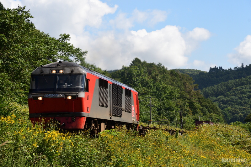 8056 ݕ