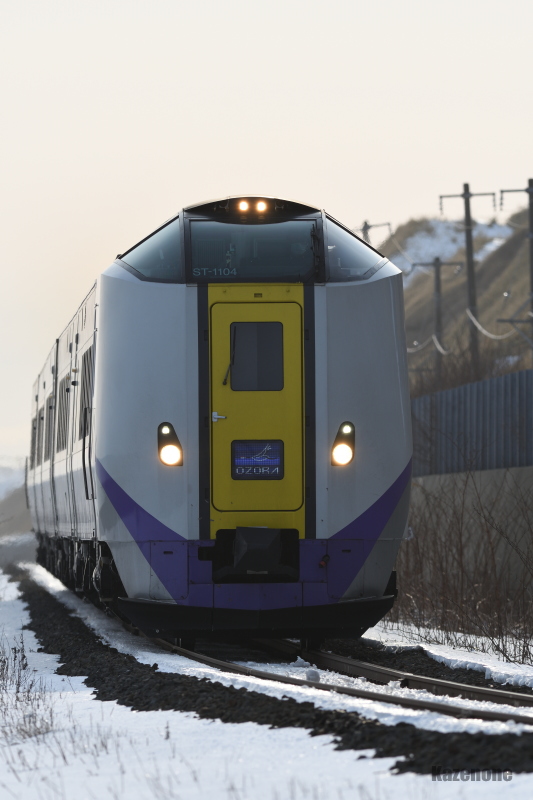 4005D }T