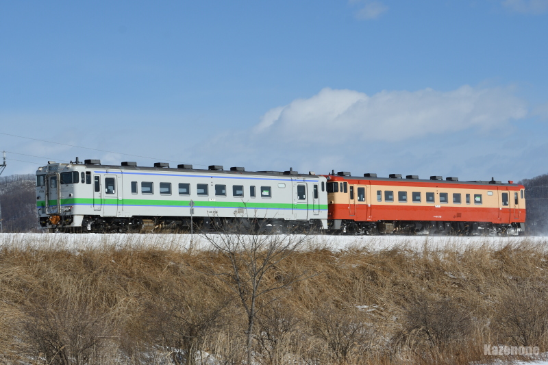 2546D ʗ