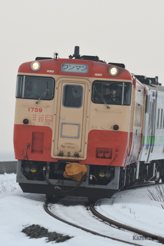 2525D ʗ