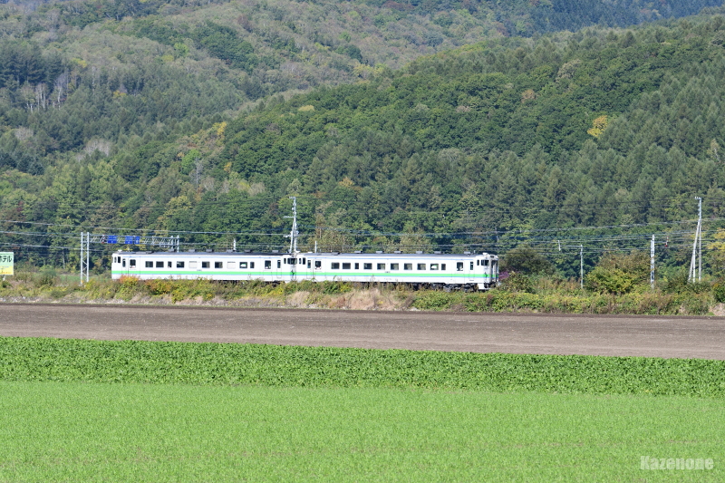4659D ʗ