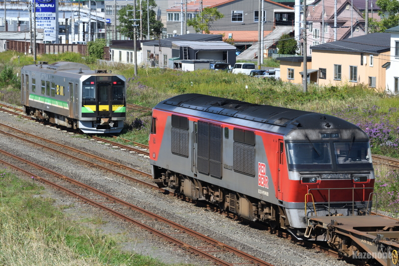 2424D ʗ