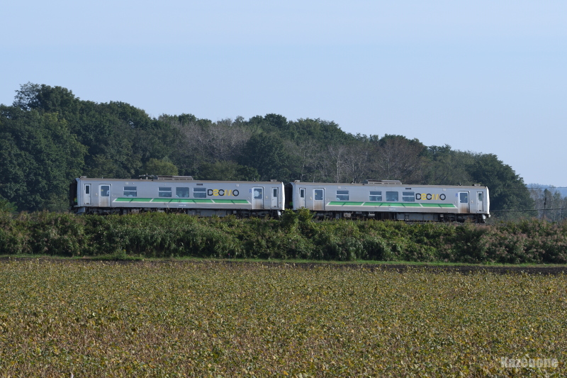2545D ʗ