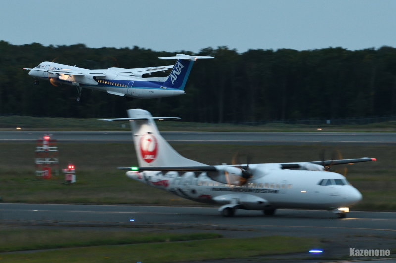ANA4876JAL2869