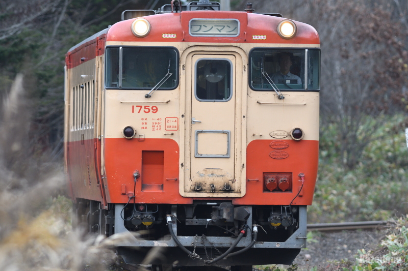 2477D ʗ