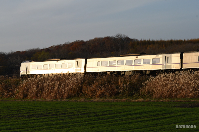 4008D }W