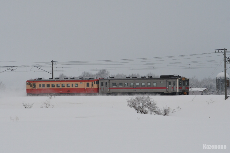 921D ʗ