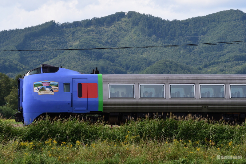 6084D }S