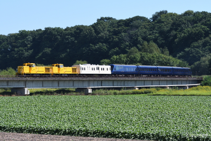 9014 THE ROYAL EXPRESS kC