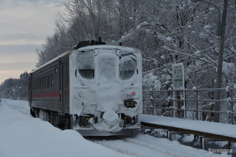 4324D ʗ