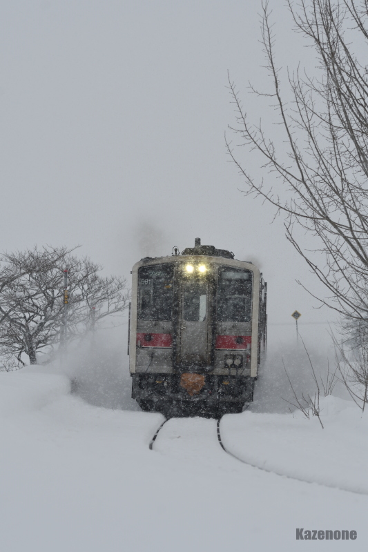 4925D ʗ