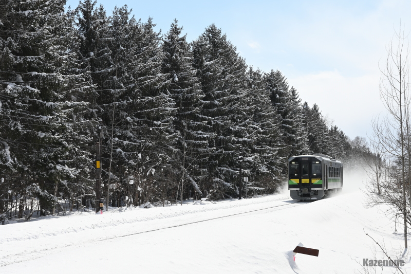 3321D ȂP