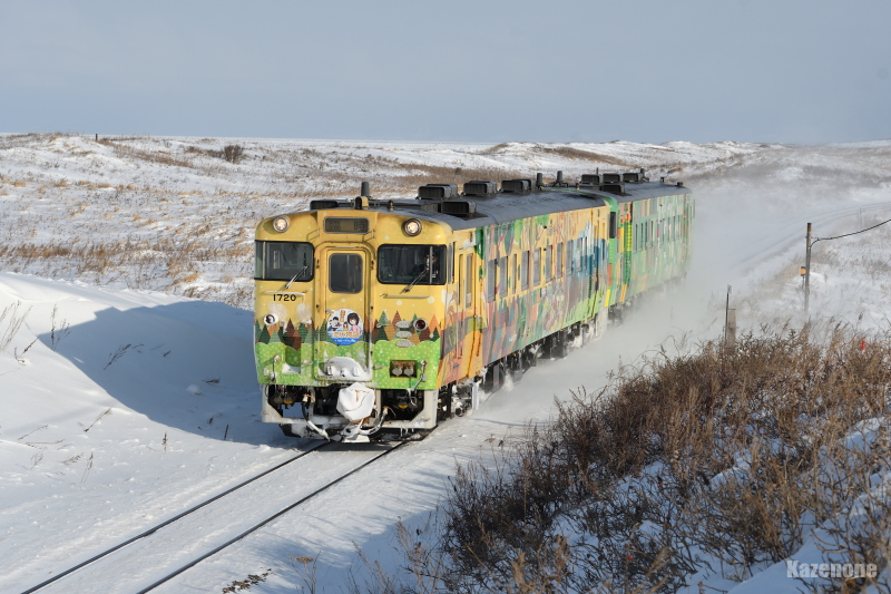 9733D XS