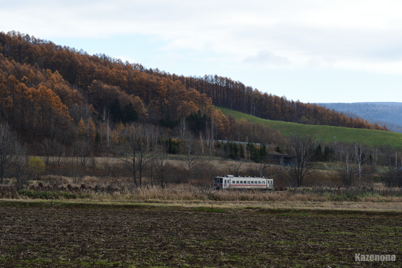 3322D ȂS