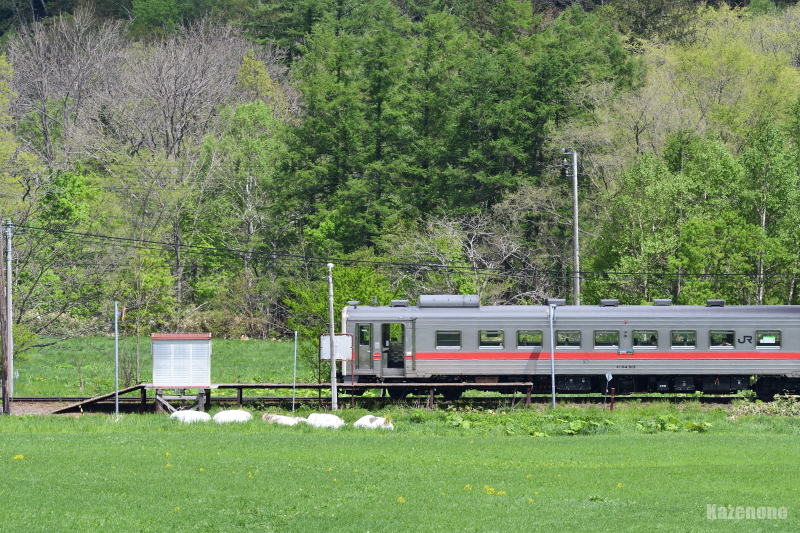 4323D ʗ