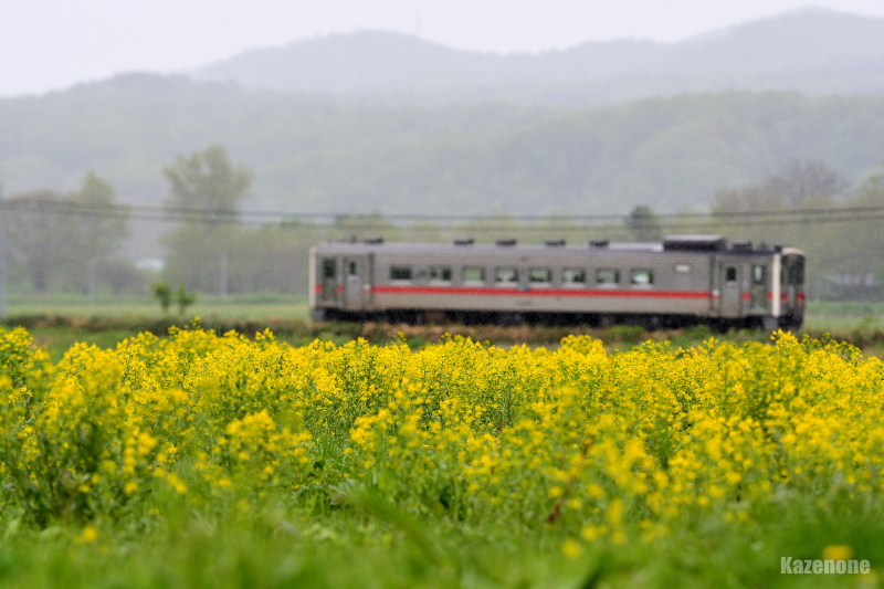 4326D ʗ