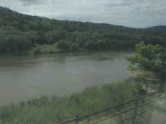 ⫓��`���v�Ԃ̓V����