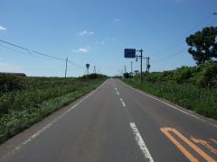 �߂�����u�₩�`�`�`�i�@�L�|�M�j