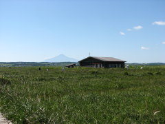 �����ԉ��V����