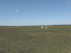 �����ԉ��V����