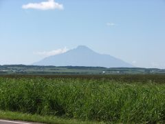 �߂����ኴ���c(�E_�E�A)