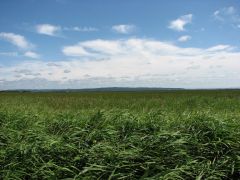 �߂����ኴ���c(�E_�E�A)