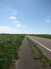 �߂����ኴ���c(�E_�E�A)