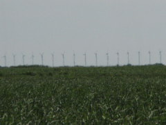 �I�g�����C���͔��d��