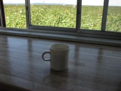 �������������͖L�x����I