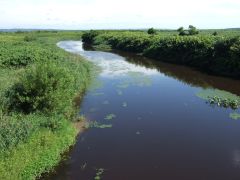 �T���x�c��