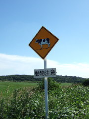 �����񒍈�