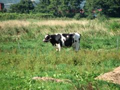 ������A�i�L�E�ցE�M�j�|�c�[���c�c