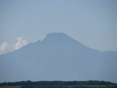 �߂����ኴ���c(�E_�E�A)