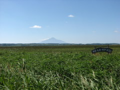 �߂����ኴ���c(�E_�E�A)