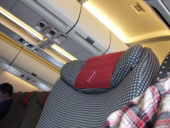 ����̓^�_���!!!�i��