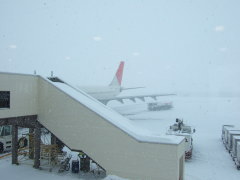 �����ʋ�`����