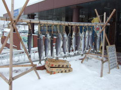 JR�ԑ��w�̔̔��i�i��