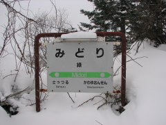 �Ήw�@�w����