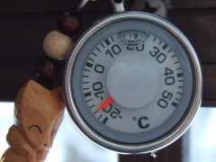 ����ł��w�S�R�x�g�����c�c