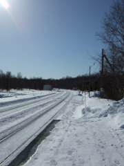 �쓒����w�@��������