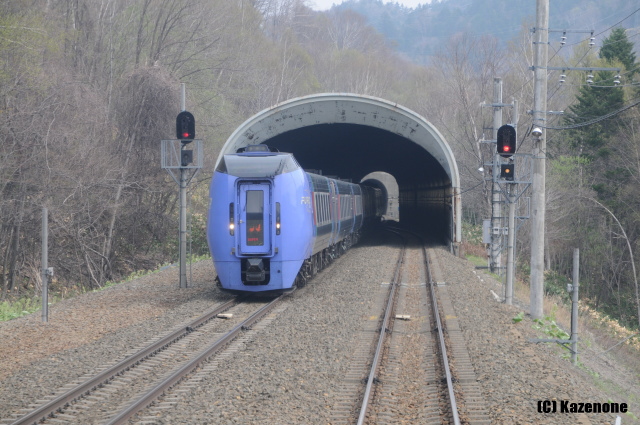 �����R�M����@���}�X�[�p�[��������Q���ƌ���