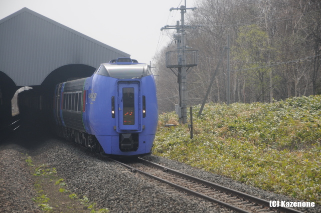 �V�돟�M����@���}�X�[�p�[��������S���ƌ���