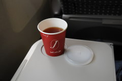 JAL2506�ց@�N���X�i