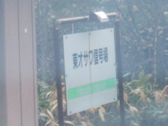 ���I�T���M����@�ʉ�