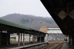 �V���w�@�P�Ԑ��z�[��